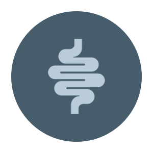 Gastrointestial.png__PID:12e05433-4667-443d-80a8-3dde67960b95